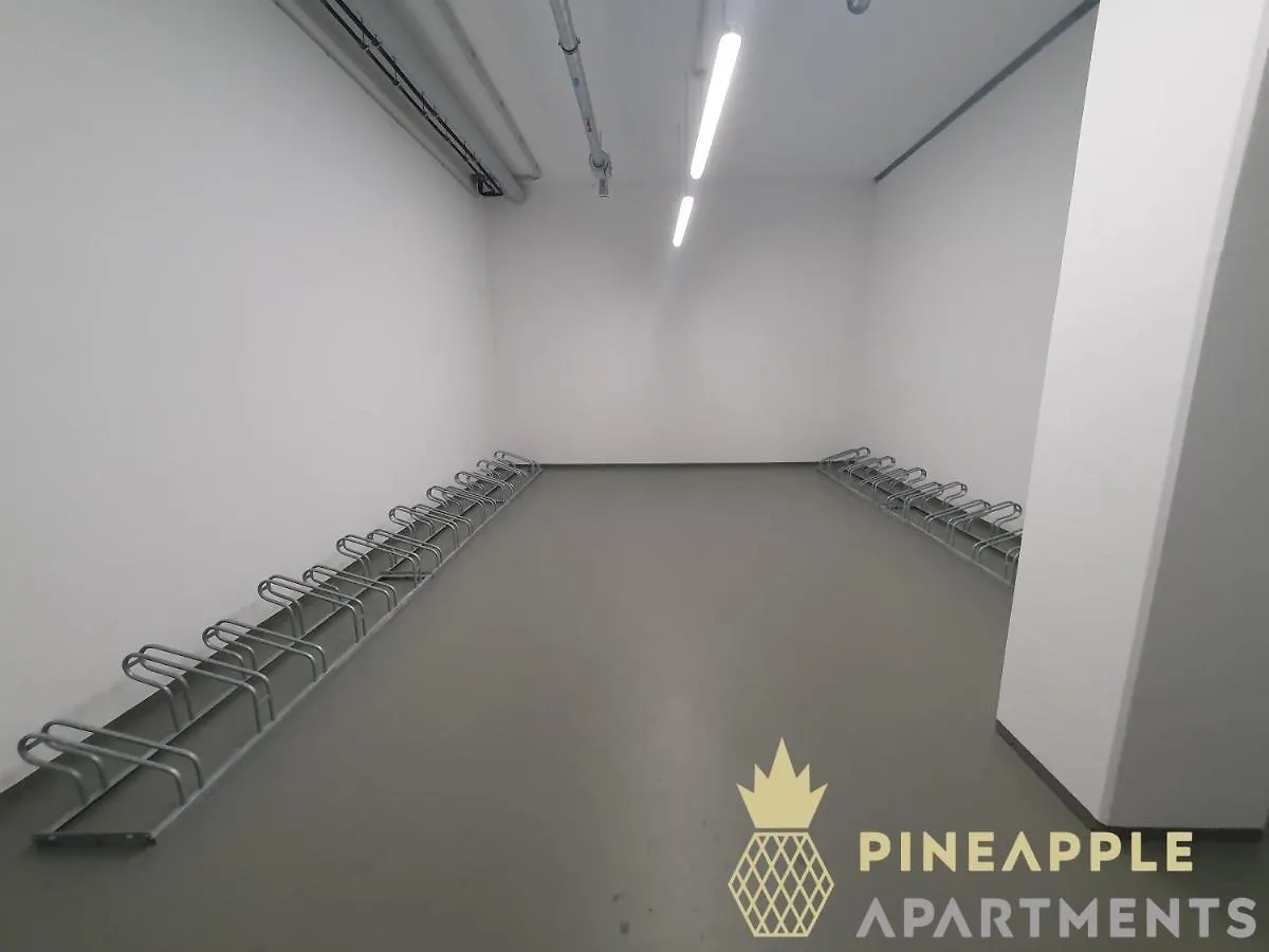 Pineapple Apartments Dresden Altstadt III - 91 Qm - 1X Free Parking